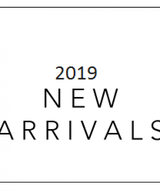 2019新作