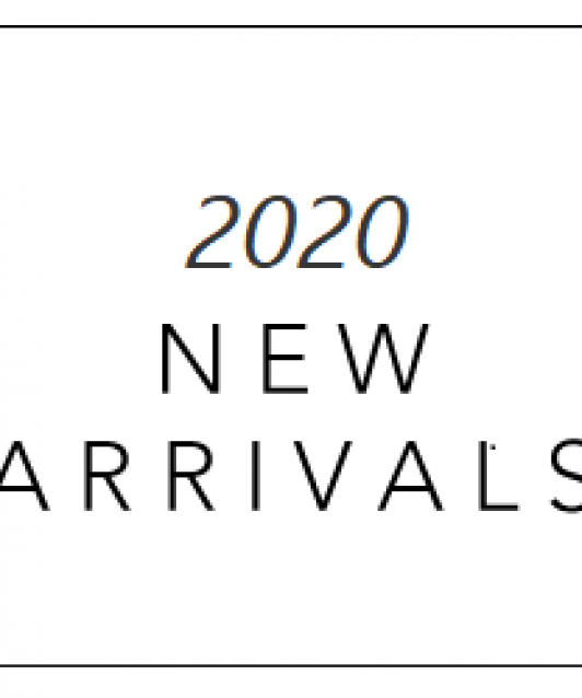 2020新作
